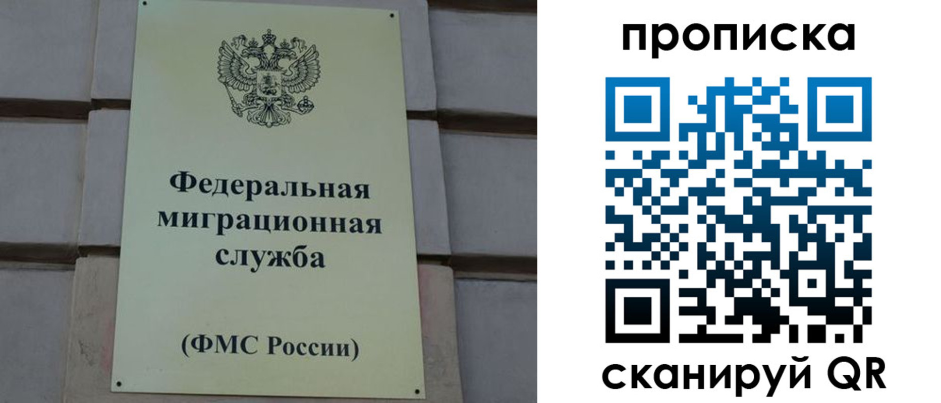 прописка поиск в Светлограде